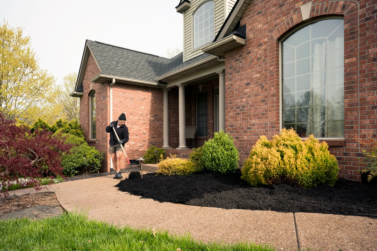 Man cleaning front yard