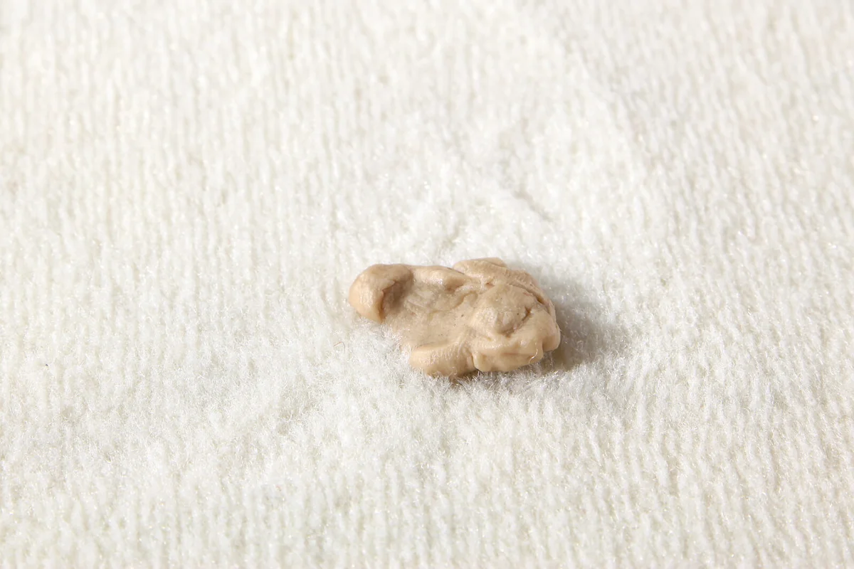 Chewing Gum on the carpet