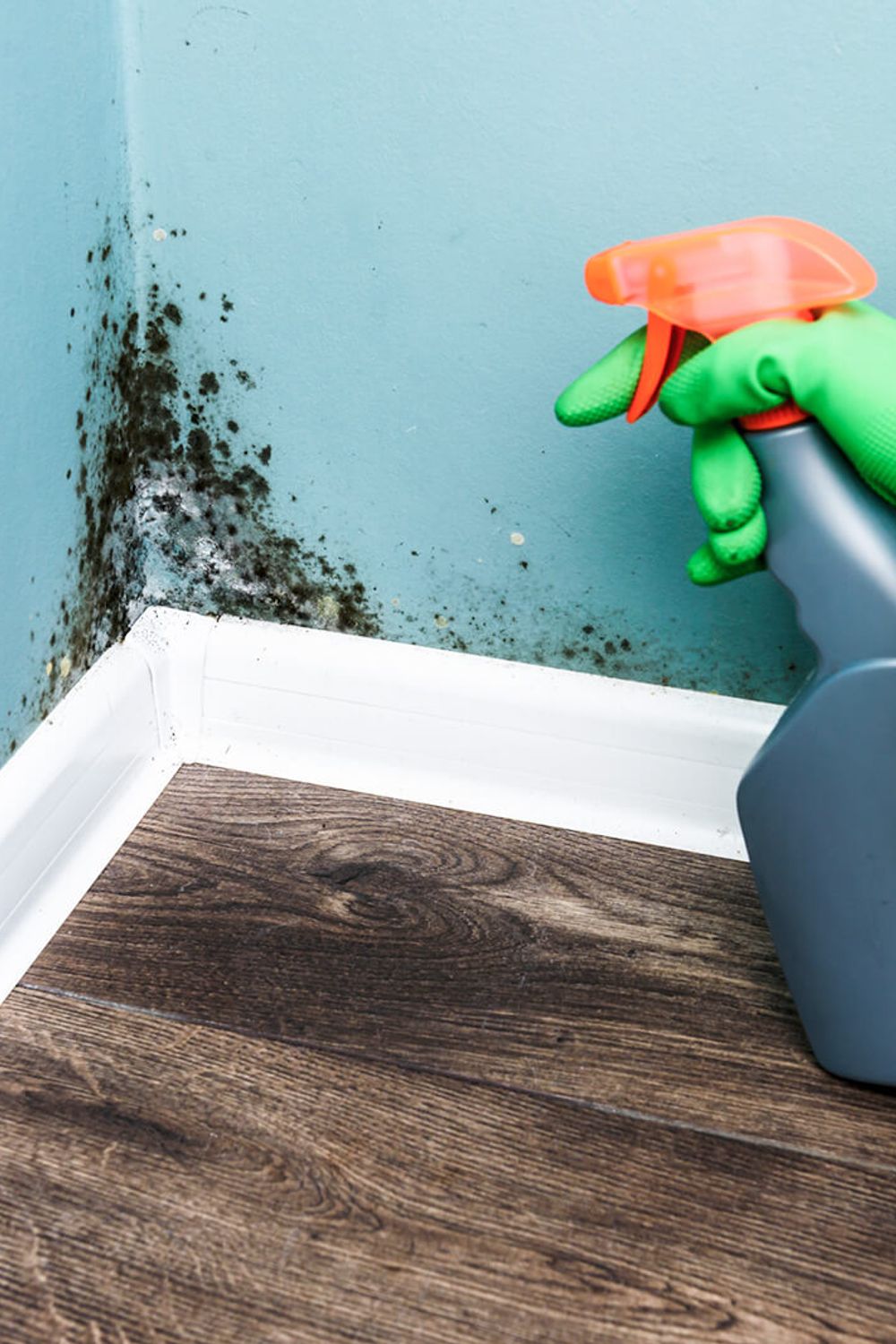 How to Get Rid of Mold Safely & Effectively