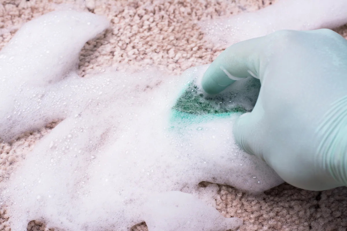 Hand in glove cleaning carpet by carpet and upholstery shampoo with a sponge