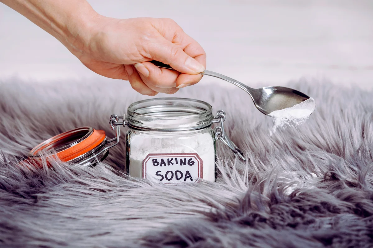 Woman pouring baking soda in long hair fur carpet