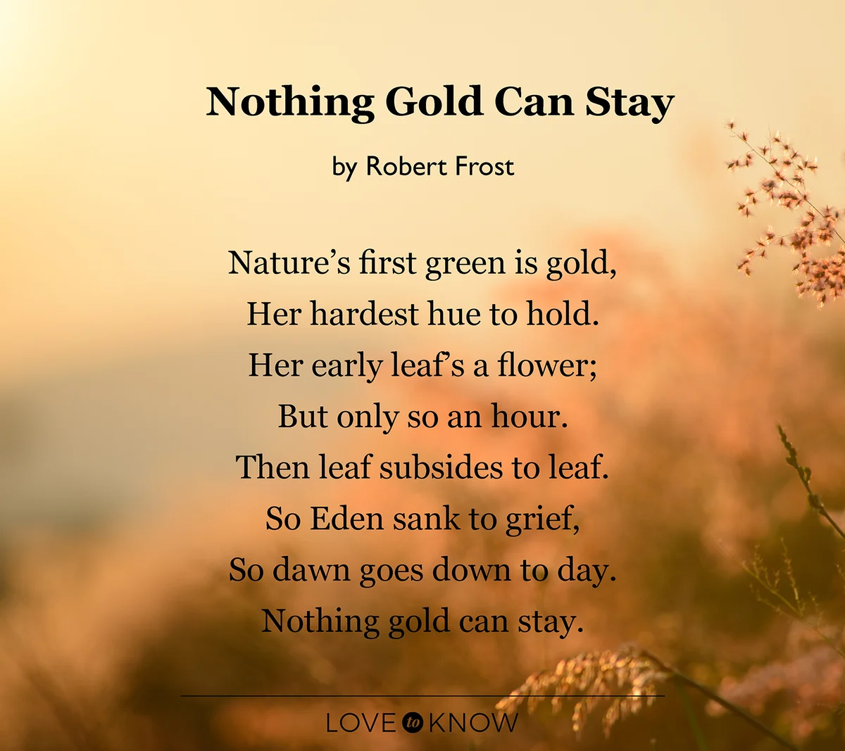 Nothing Gold Can Stay Poem