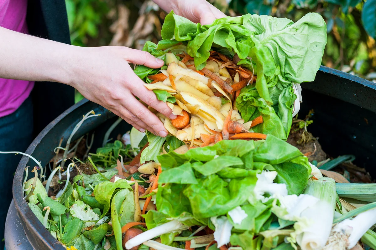 adding vegetable scraps to compost