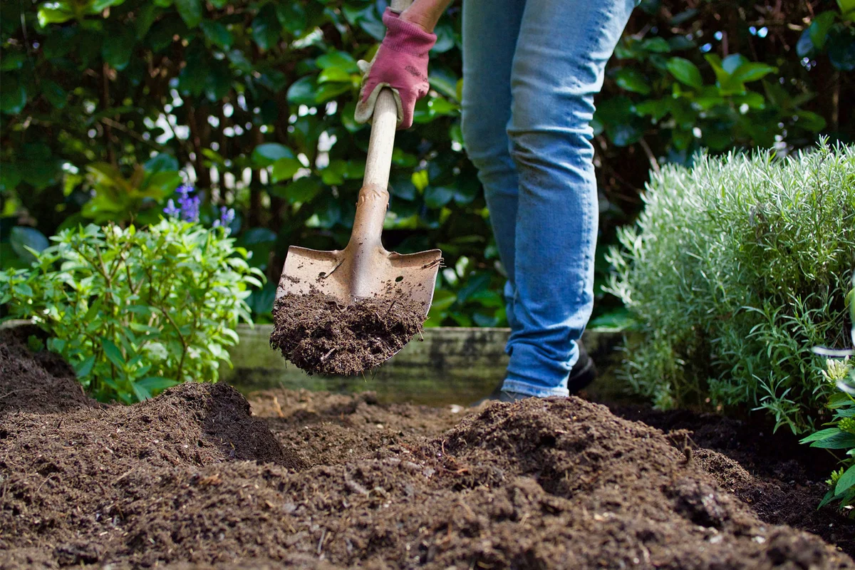adding compost to garden
