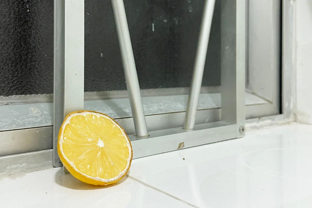 Clean and Freshen Up Bathroom with Lemon, The Natural Deodoriser
