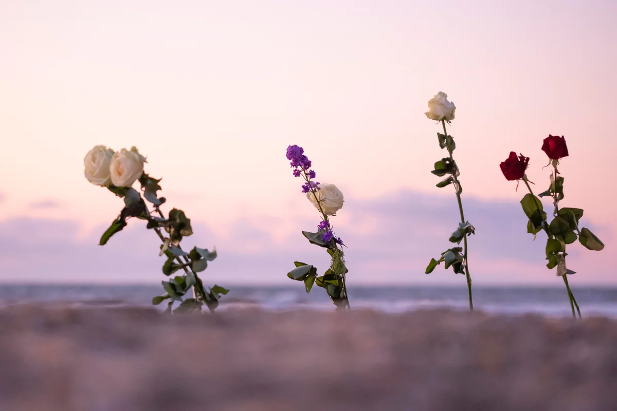 Funeral roses at the beach