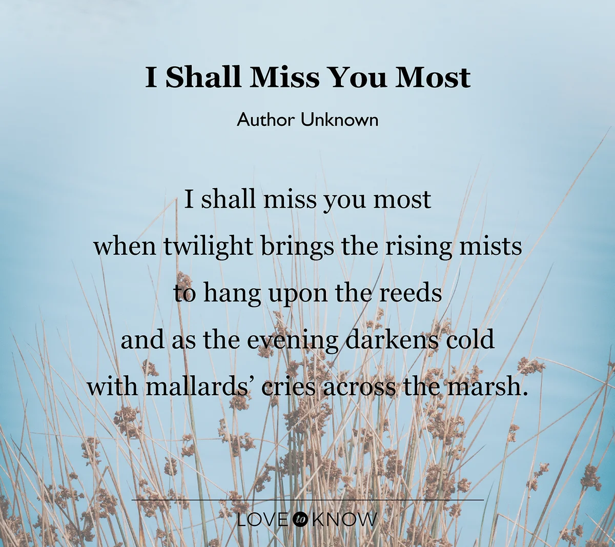 Marsh with poem