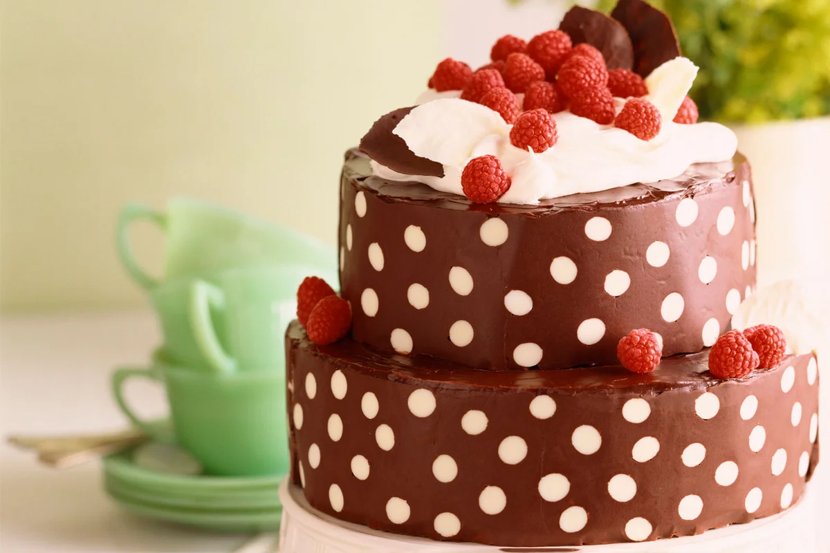 Chocolate Polka Dot Cake