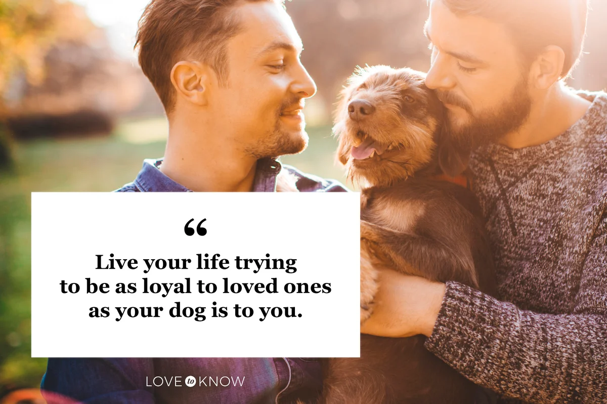 loyalty quote two men couple holding dog