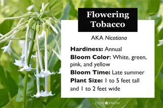tobacco store hope arkansas THE BEST 10 Tobacco Shops near HOPE, AR 71801 - Updated 2026 - Hours