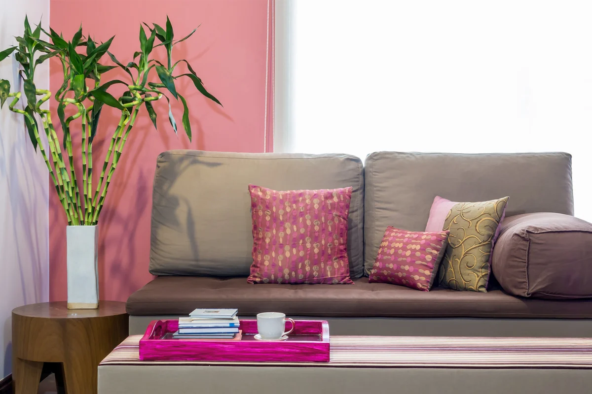 Modern living room with vase of Lucky bamboo