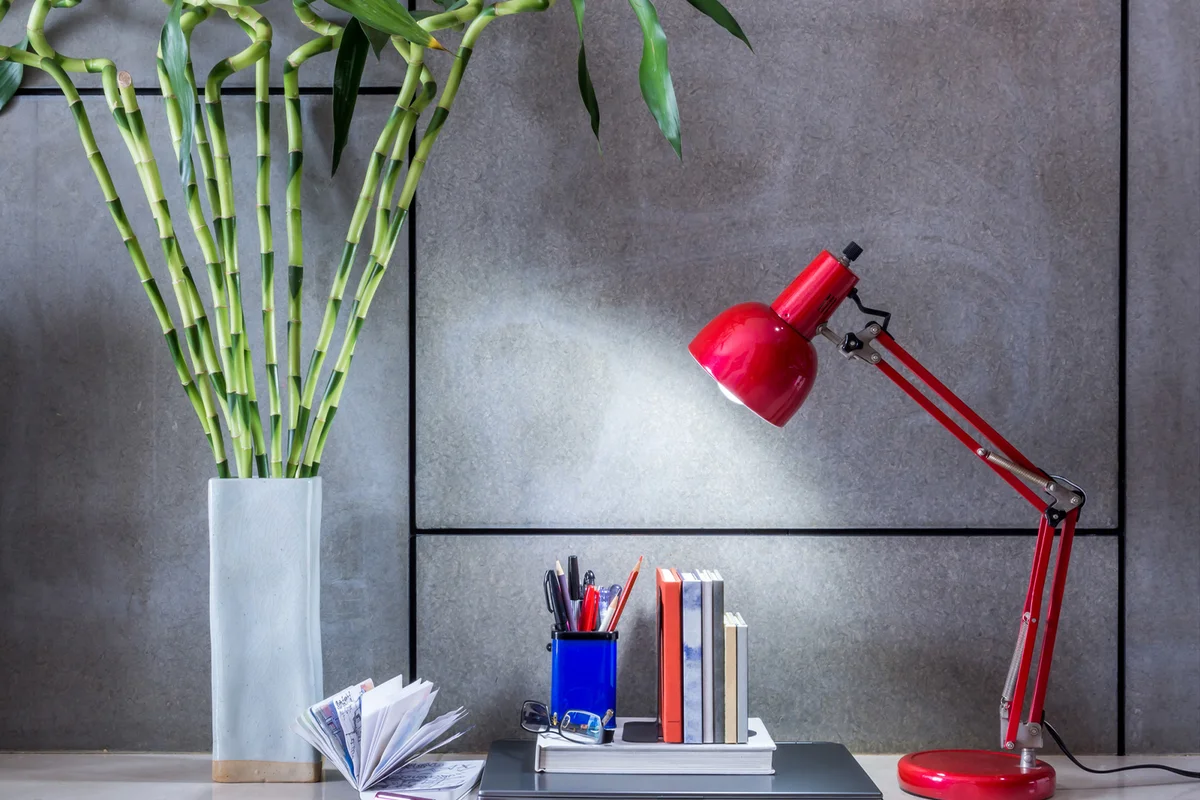 Modern office desk with lamp and vase of Lucky-bamboo