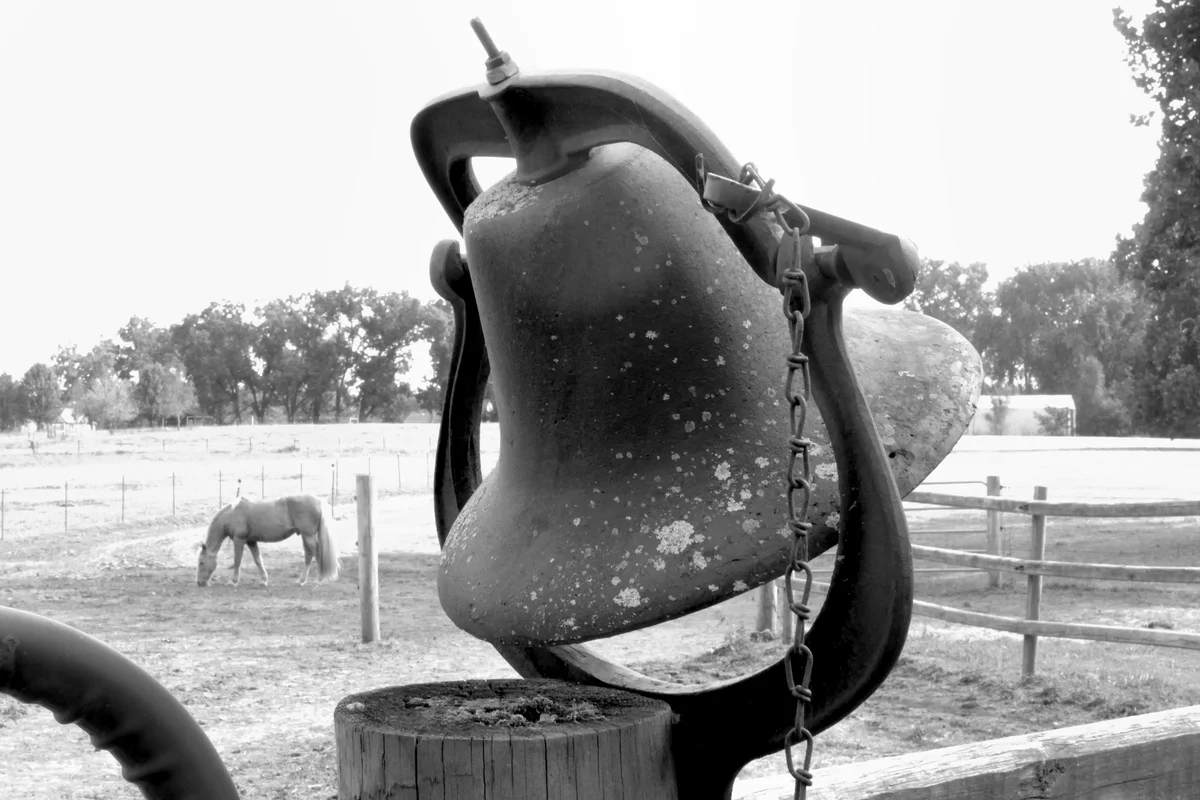 An old horse and an older bell