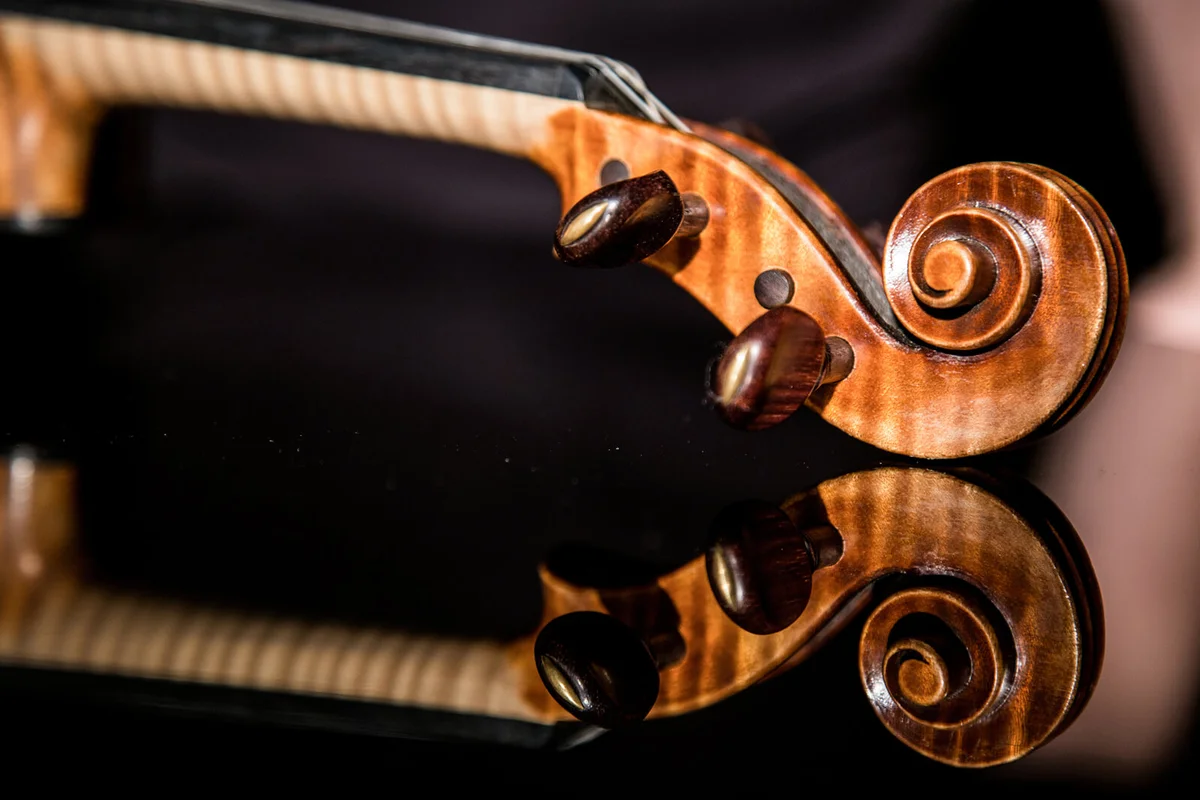 Violin on the black background