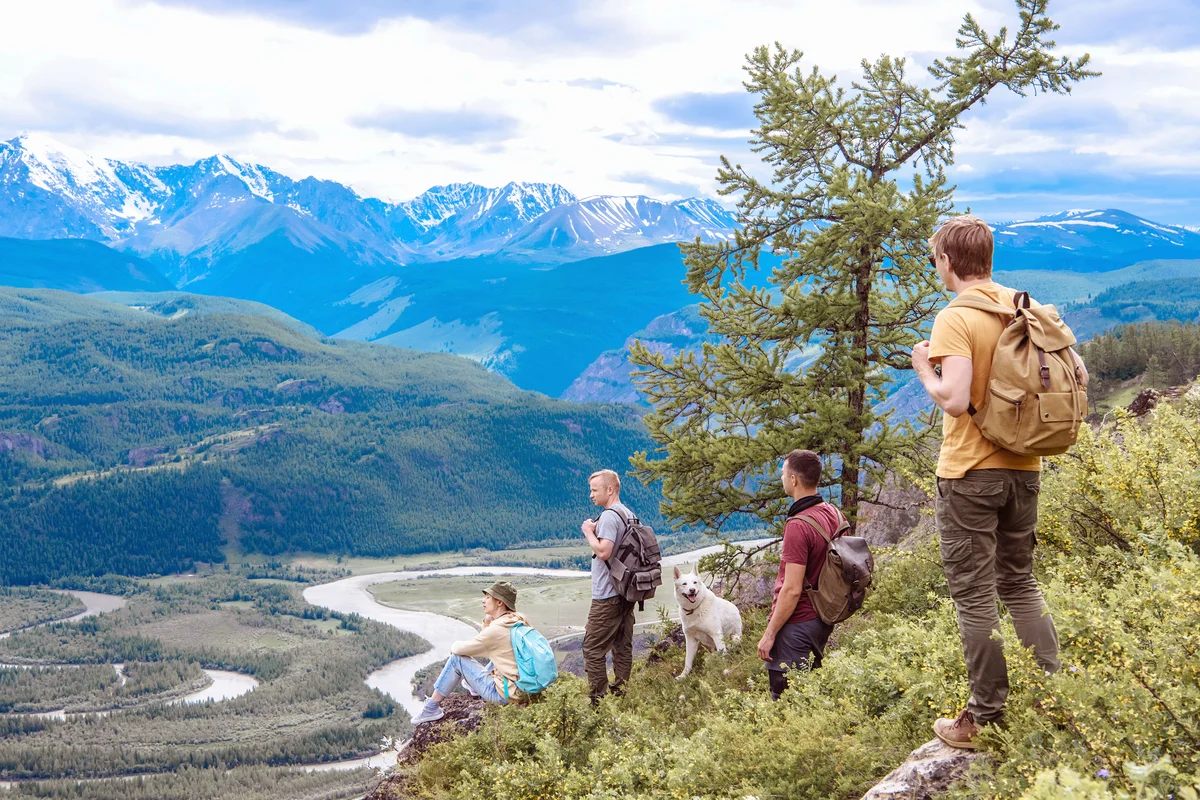 Group of friends hiking with backpacks in the mountains