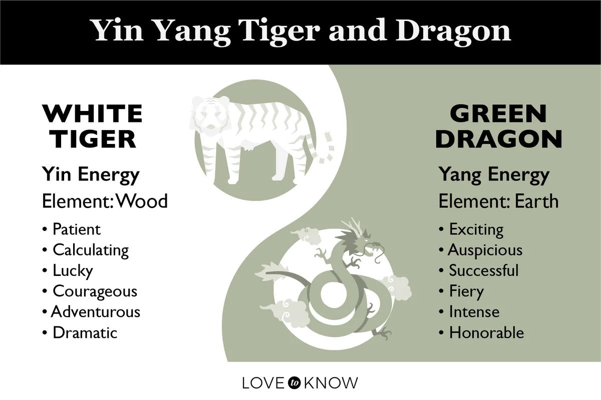 Tiger and Dragon meaning in Yin Yang infographic