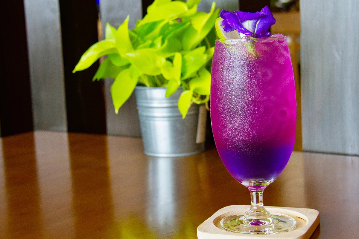 Purple Paradise