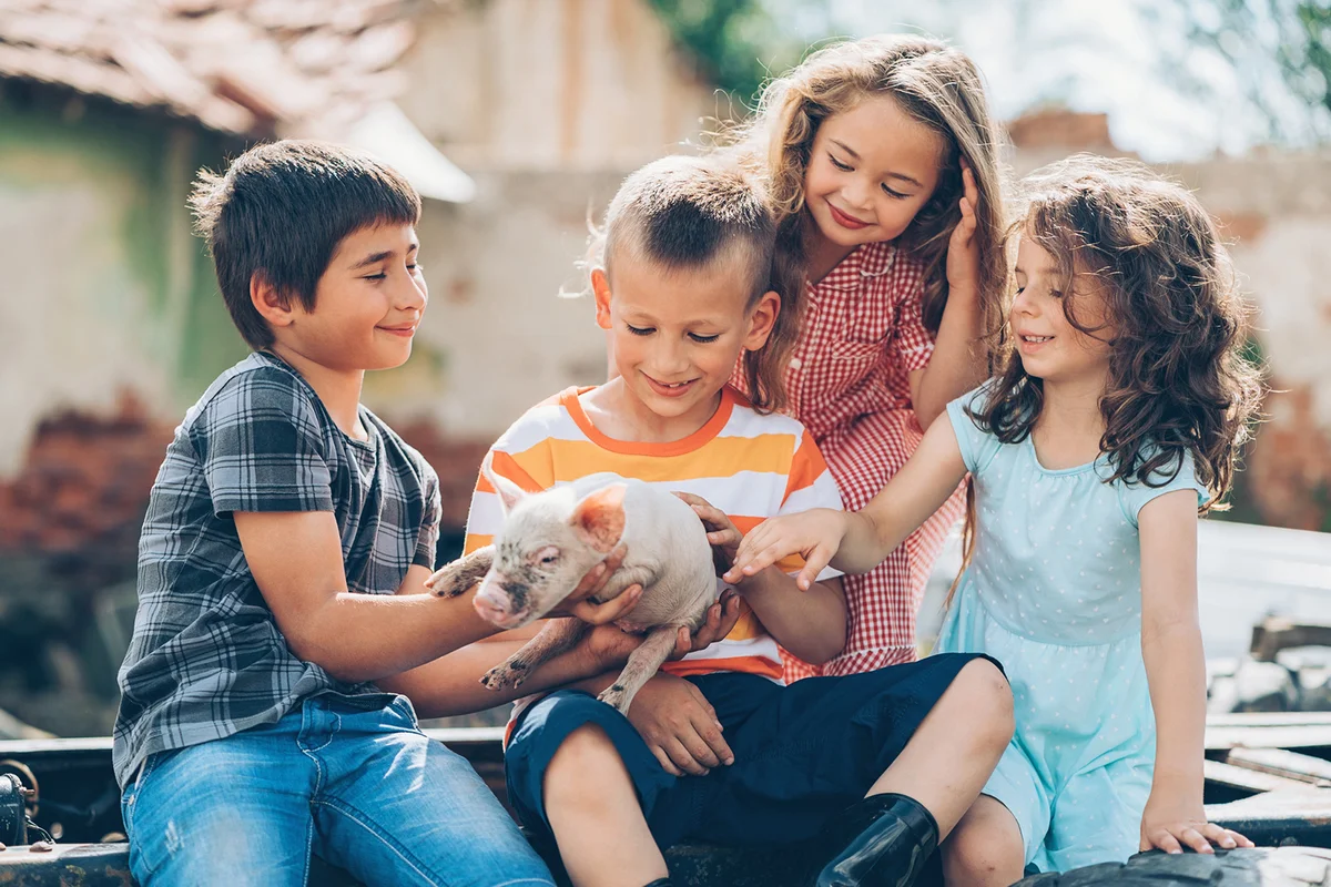 Loving children with baby piglet