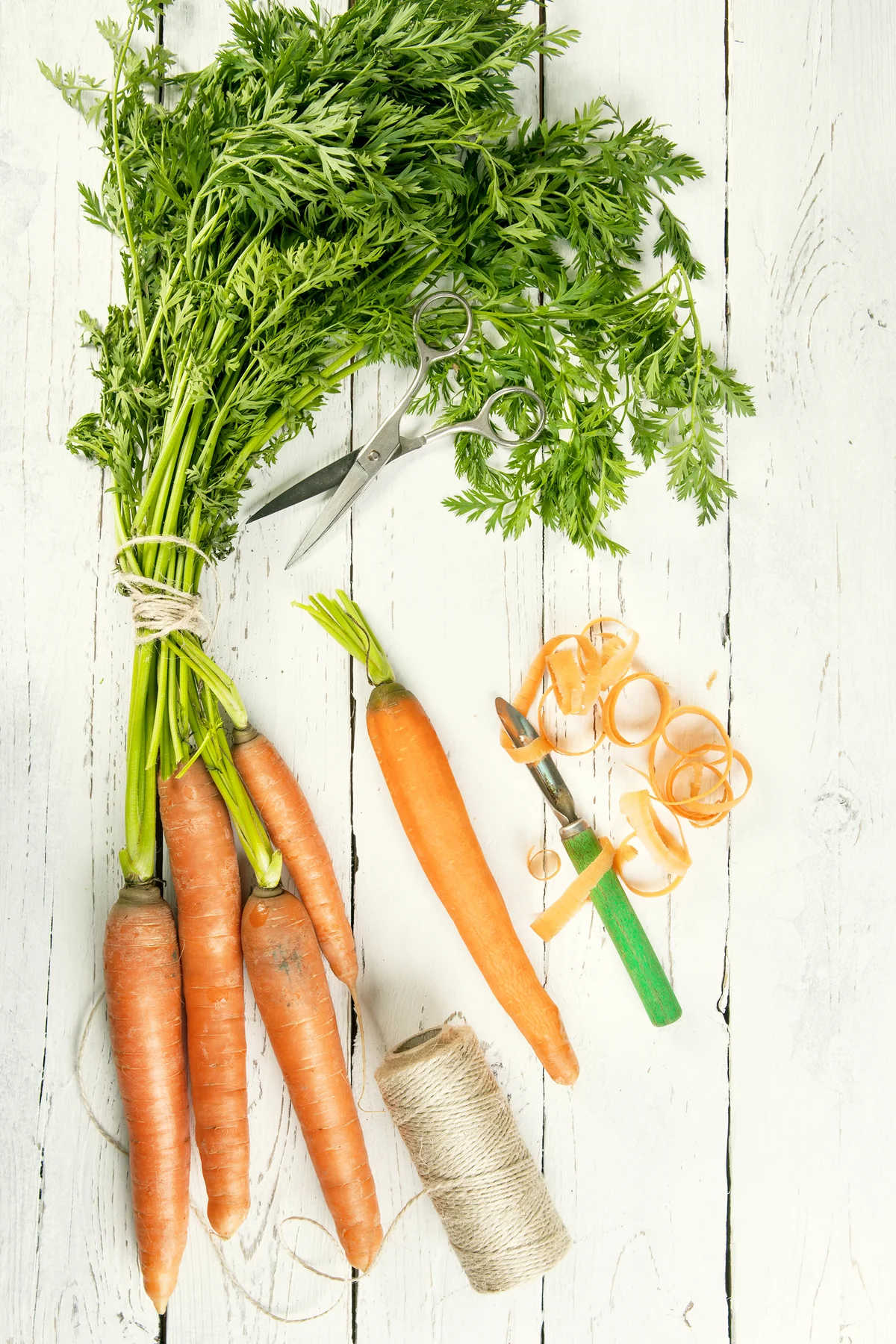 Bunch of fresh carrots and string