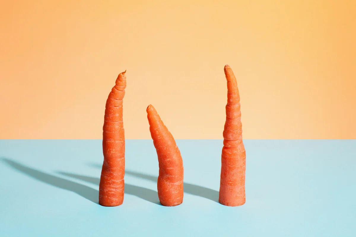Three wonky carrots lined up