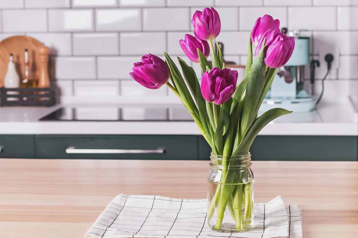 purple tulips in vase on kitchen counter