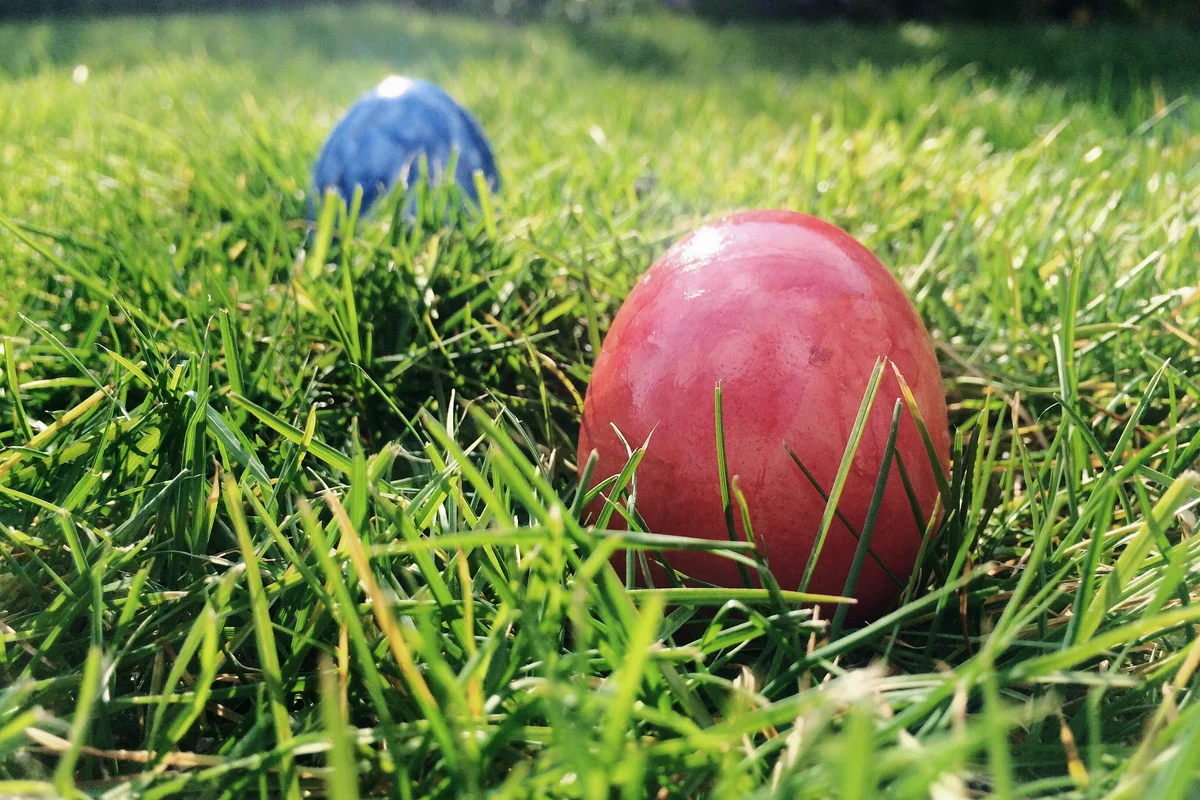 Easter eggs on grass field