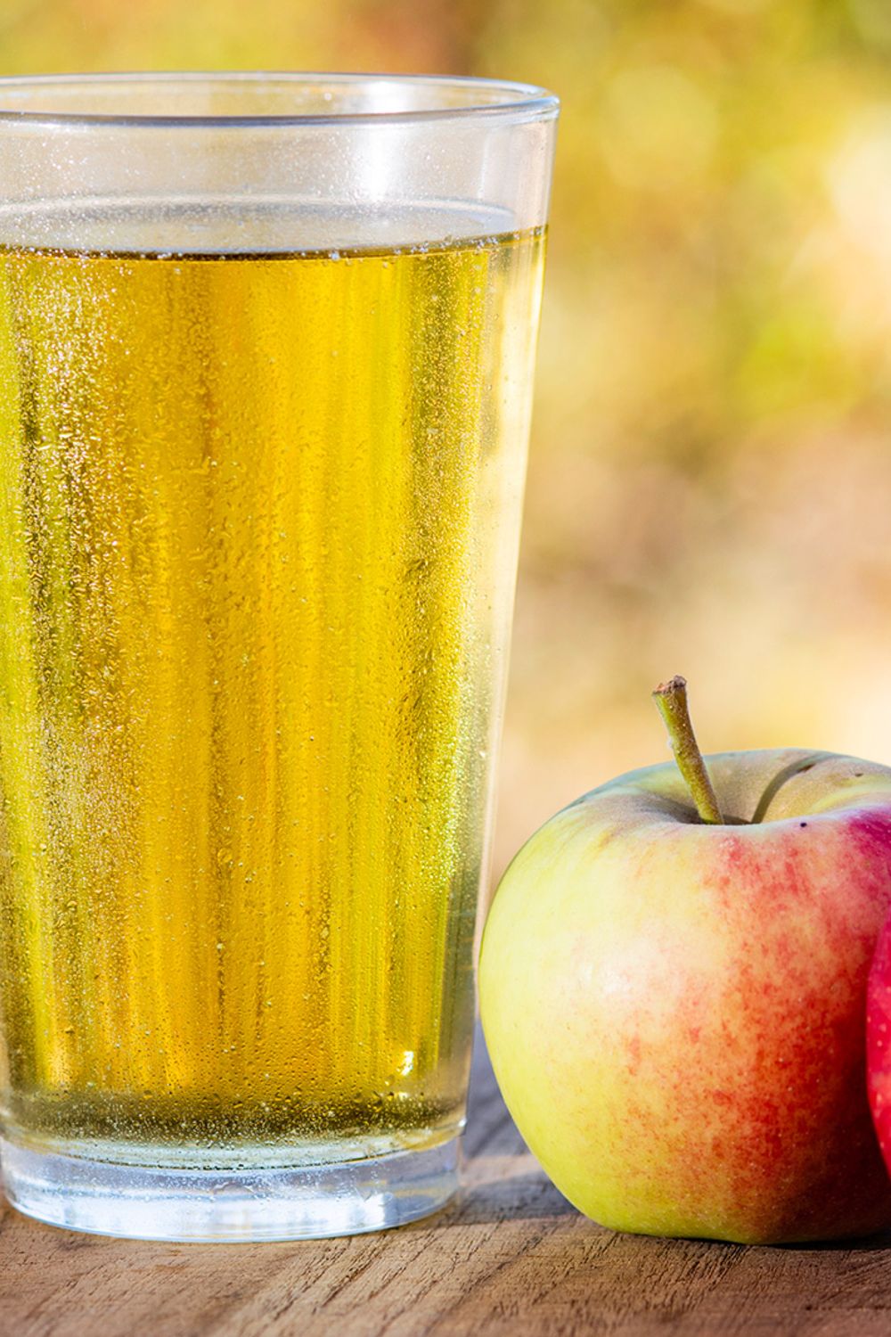 Regular Cider What Is Hard Cider? Exploring the Taste, Process and Types