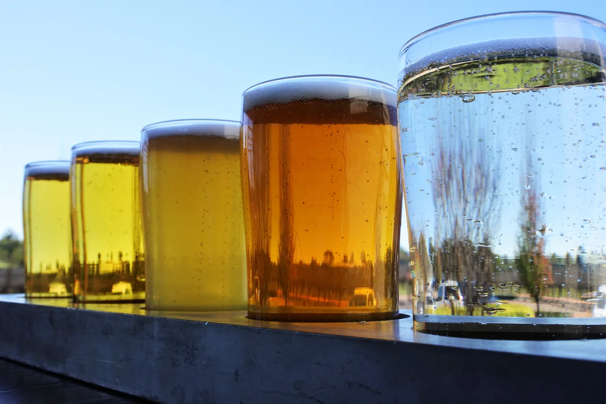 Selection of cider in a row