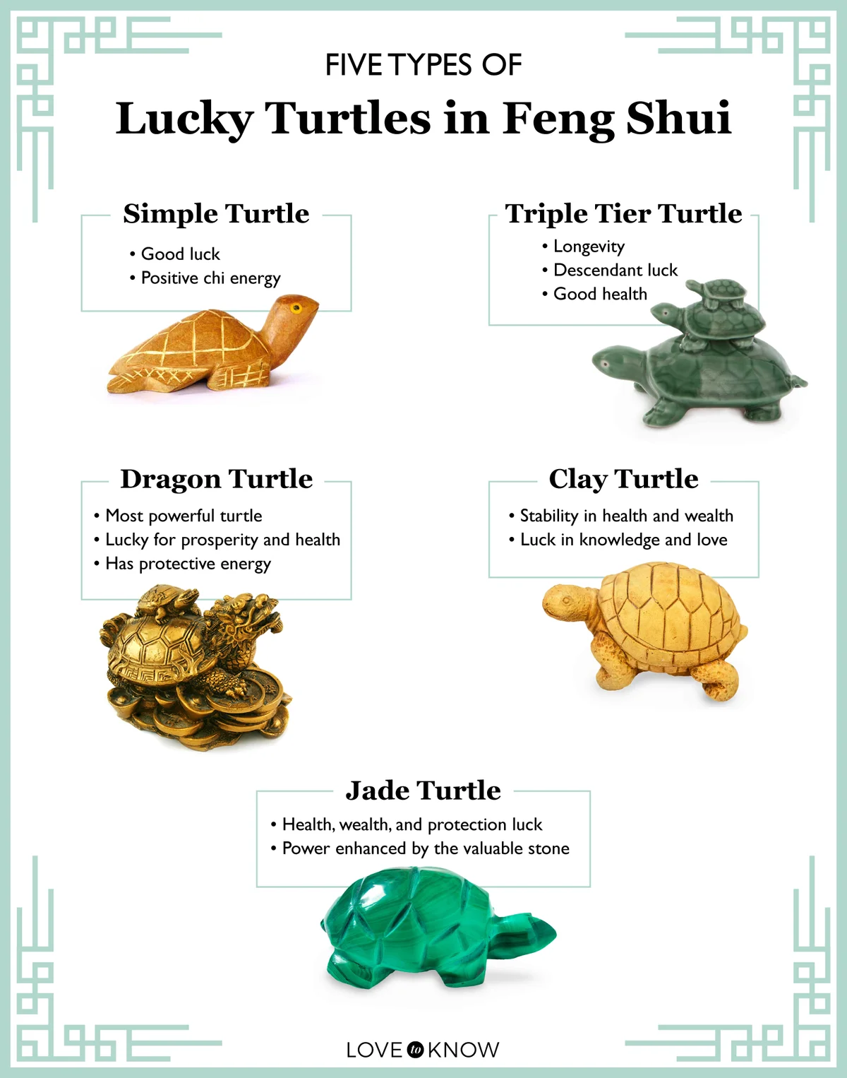 five types of lucky feng shui turtles infographic