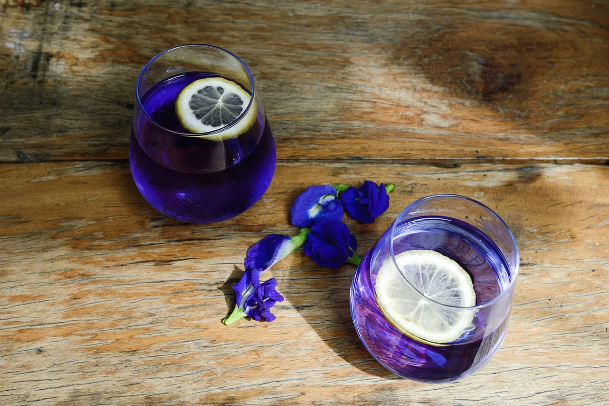 Blue pea flower tea with lemon in glasses