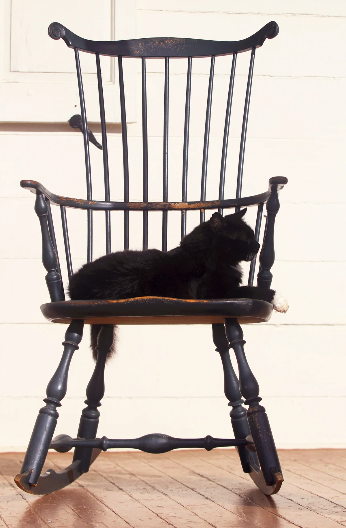Black cat sits in profile in a primitive Windsor chair