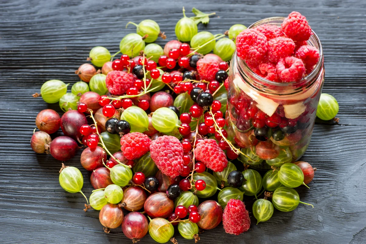summer berries