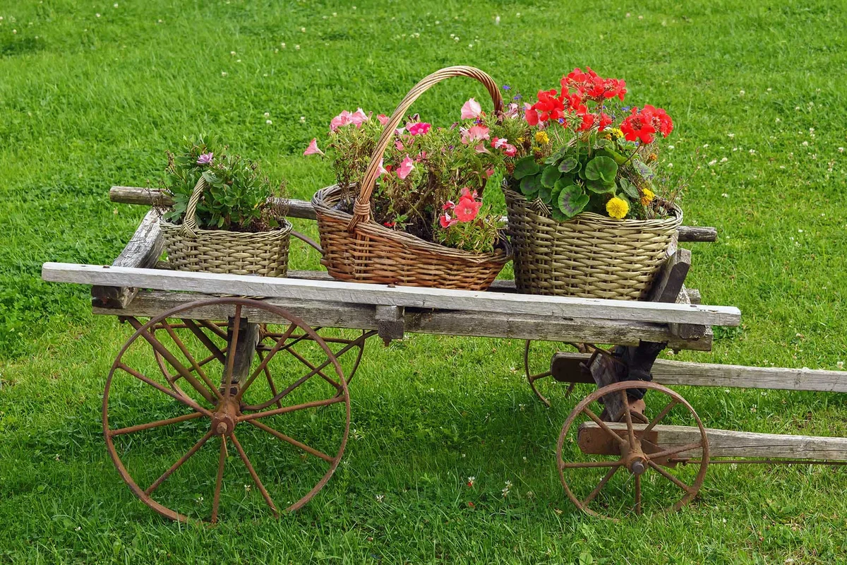 antique wheelbarrow