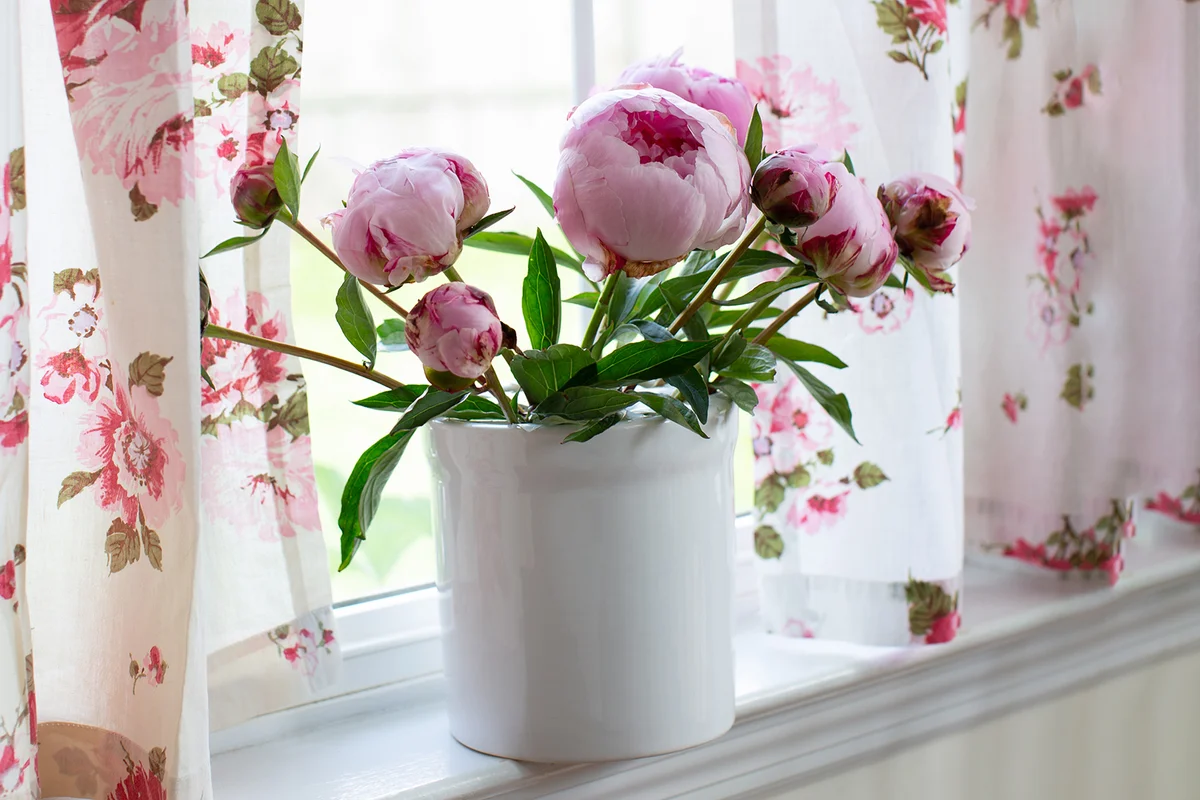 Crock of pretty pink peonies on windowsill in kitchen