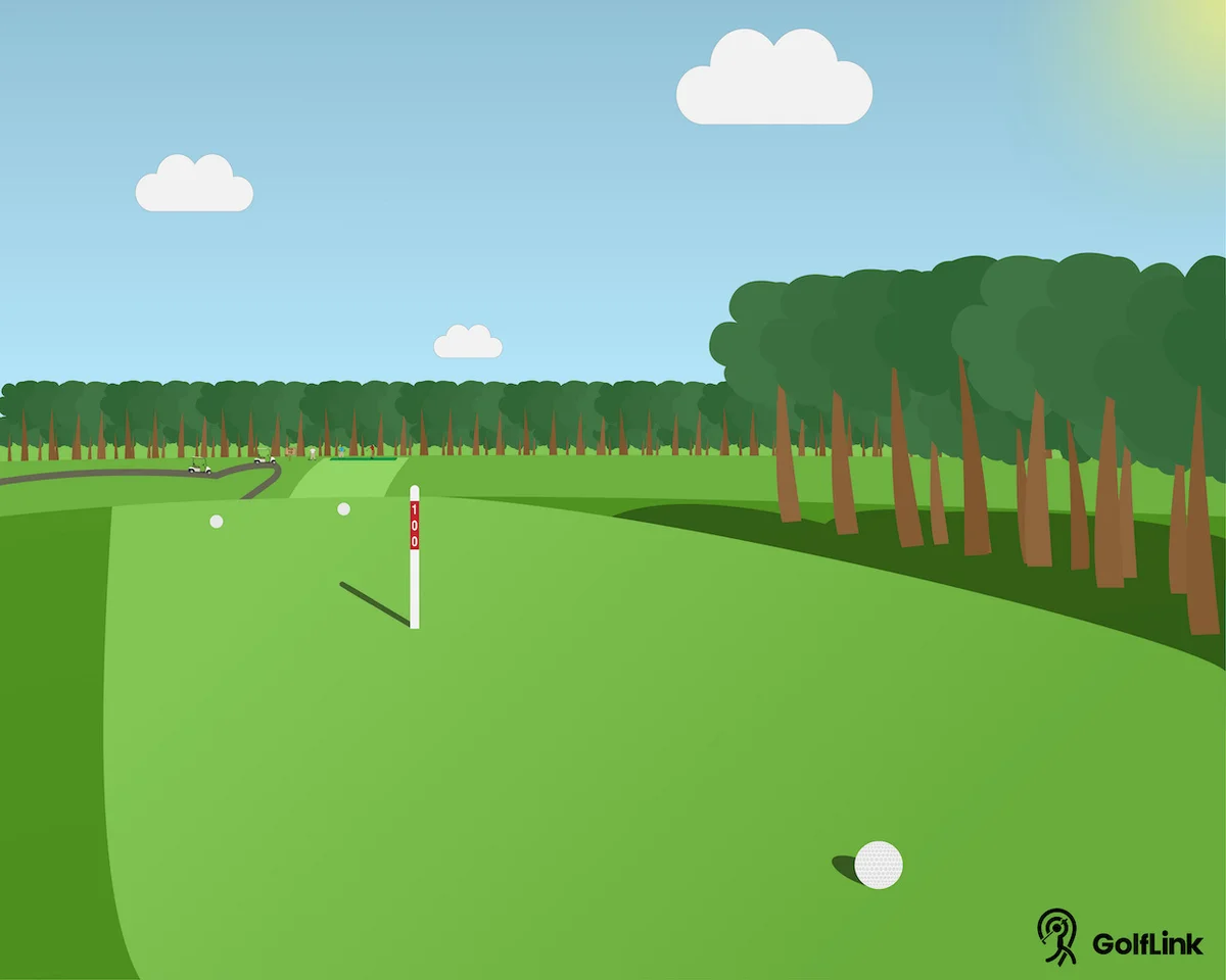 300 yard drive on golf course