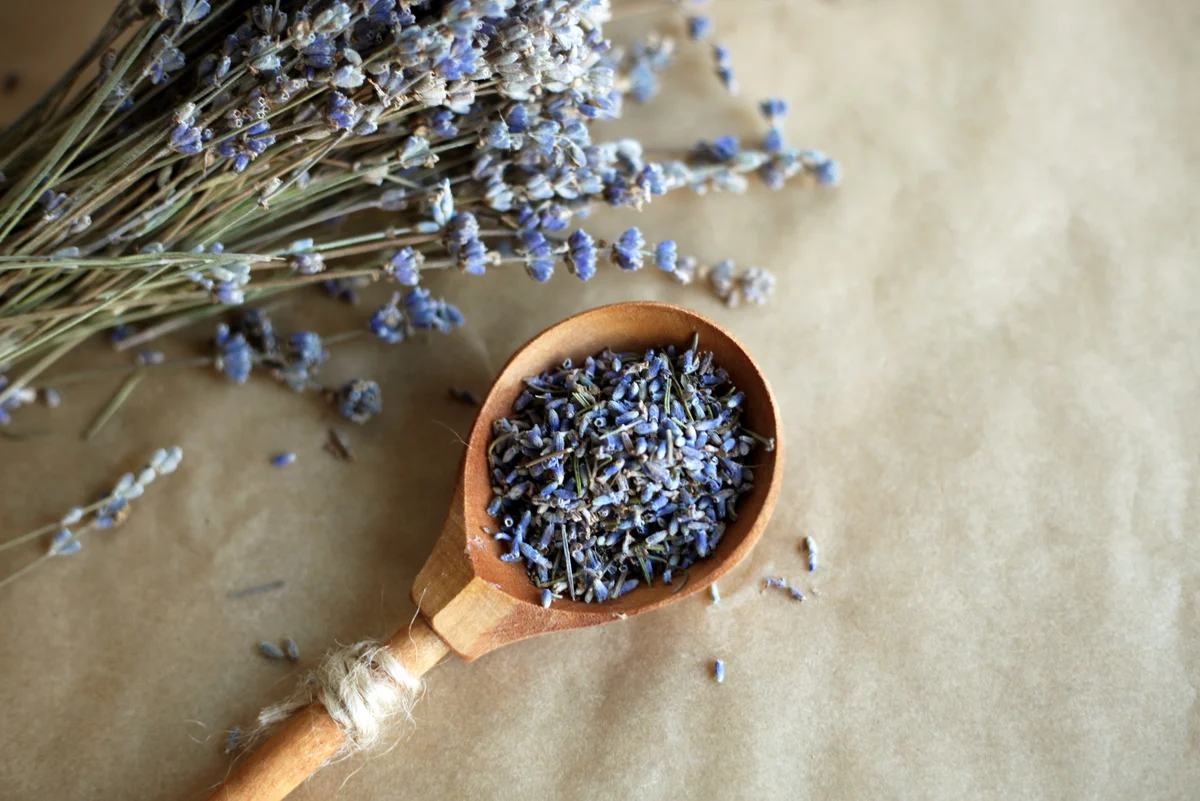 lavender flowers for vodka