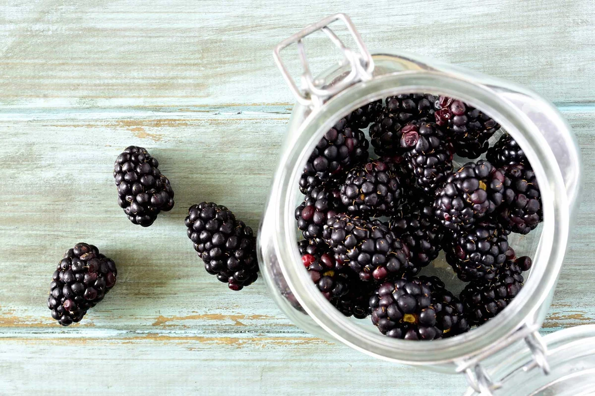 blackberry infused gin