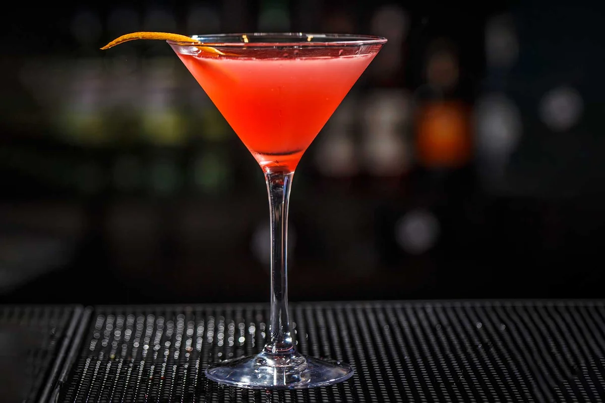 pomegranate infused gin martini