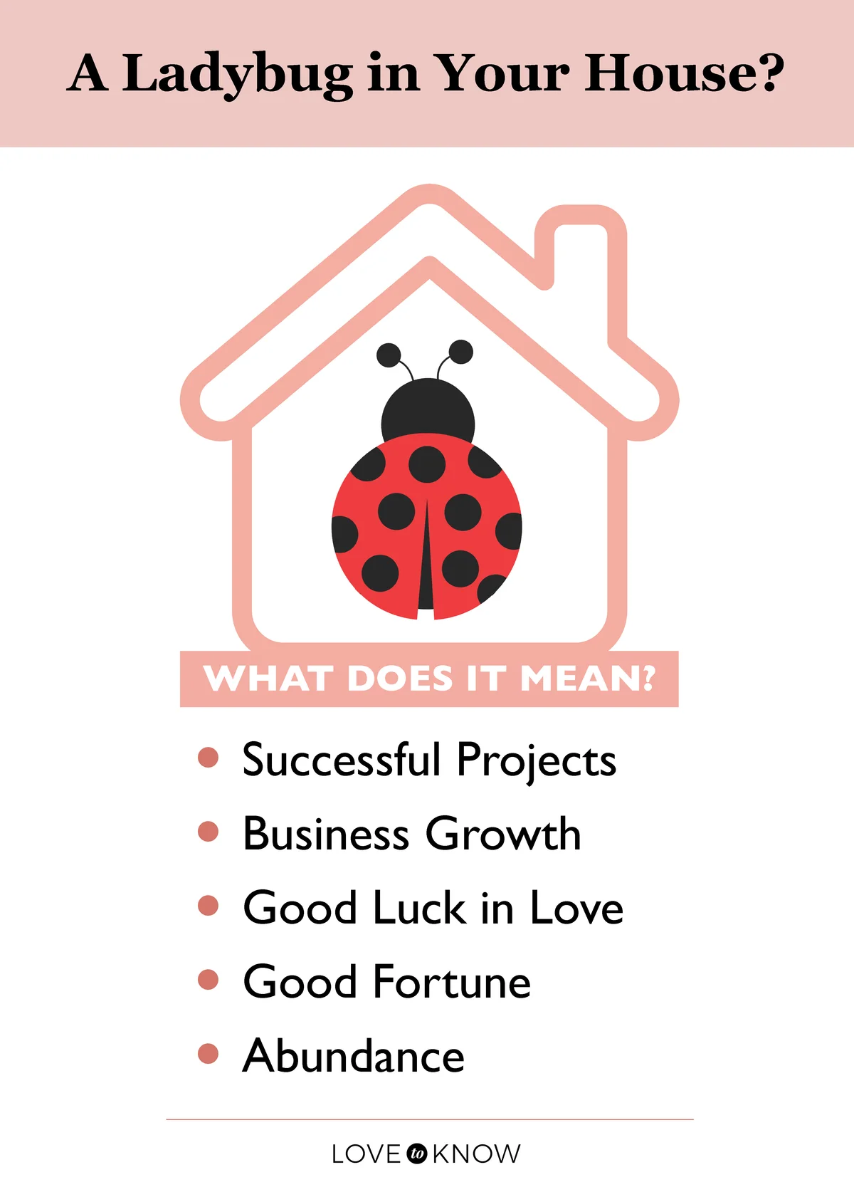 Ladybug in your house meaning