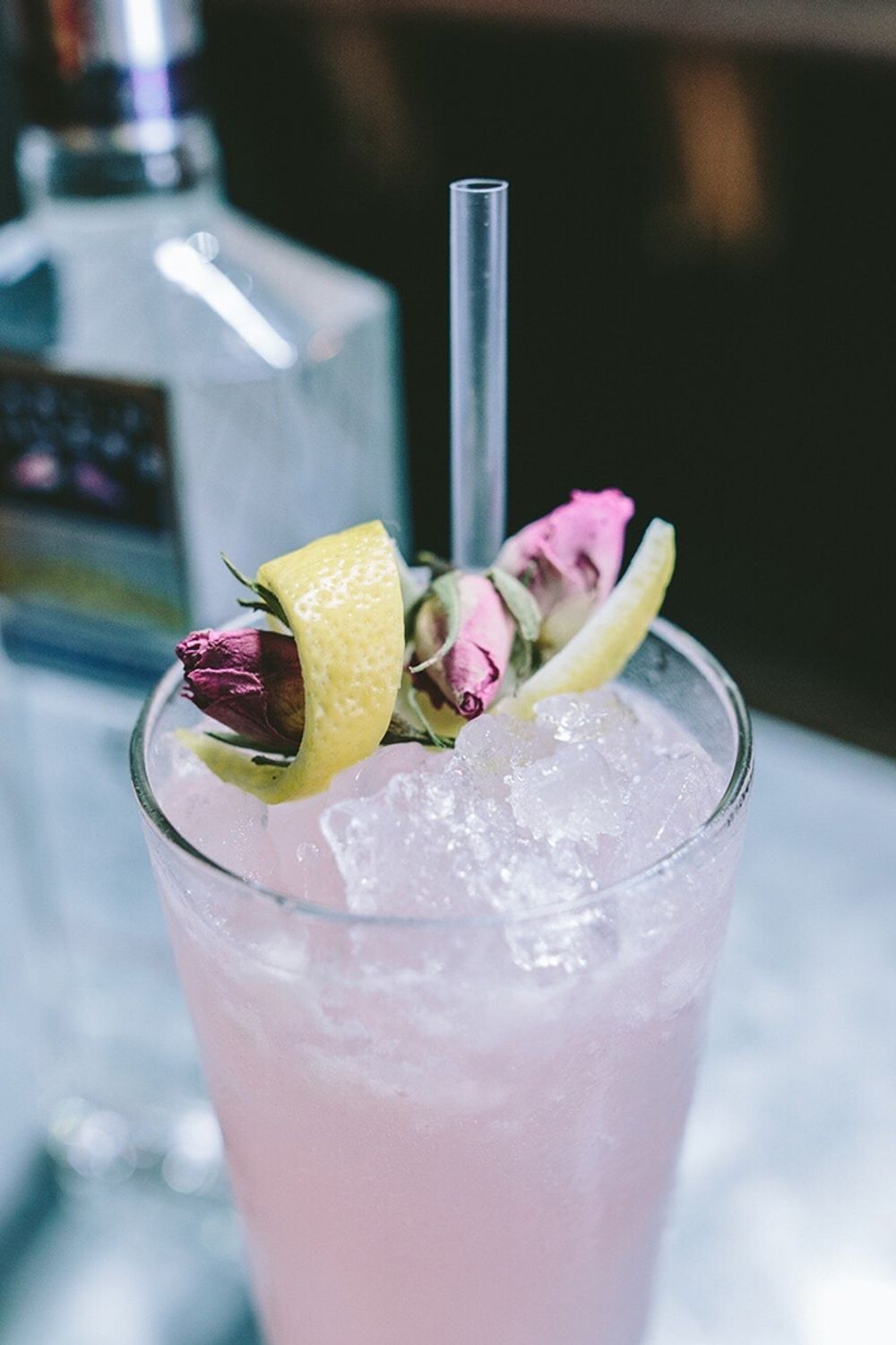 Infused Botanical Gin Recipes and Cocktail Ideas