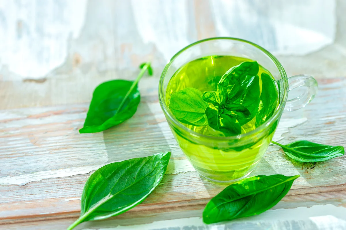 Basil-Infused Botanical Gin