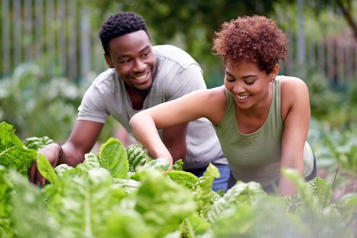 couple tending vegetable garden