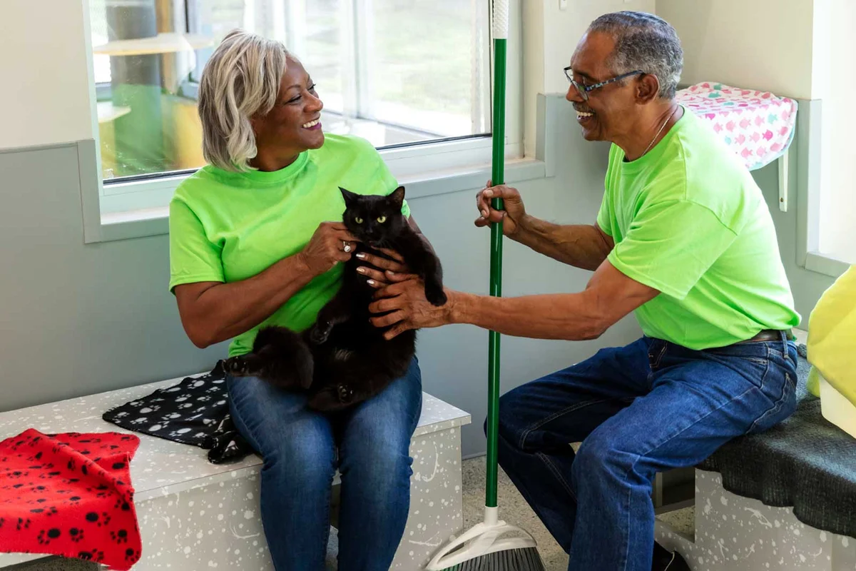 couple volunteer at animal shelter