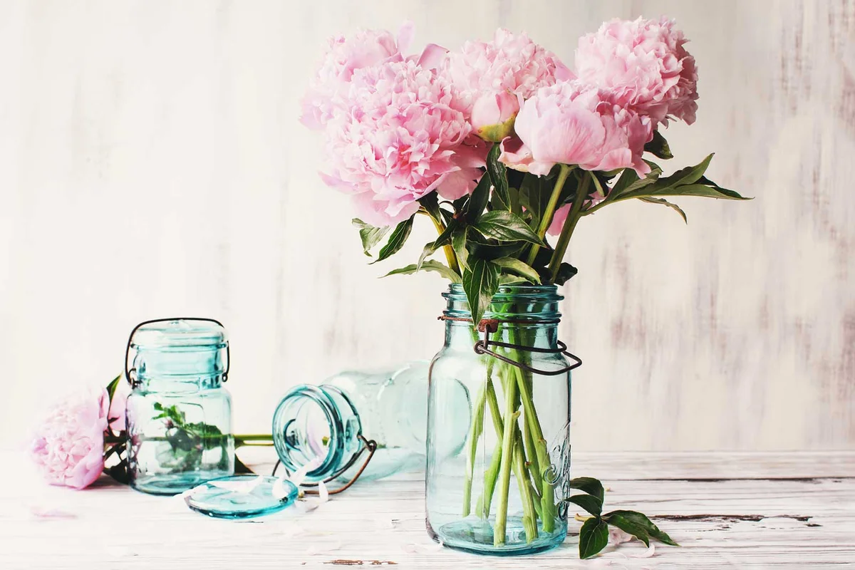 peony good luck in love