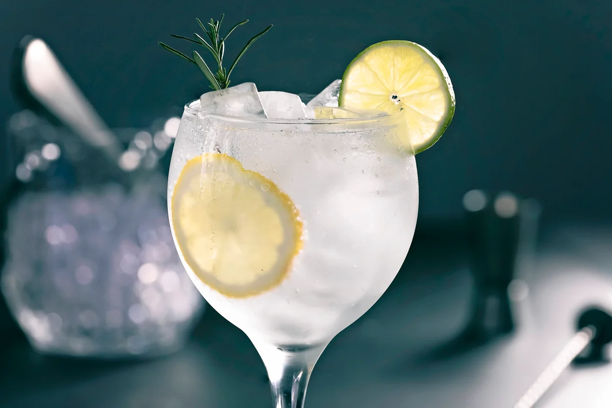 Citrus Gin and tonic
