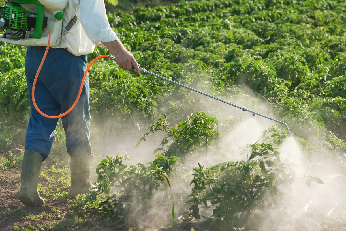 pesticide application in garden
