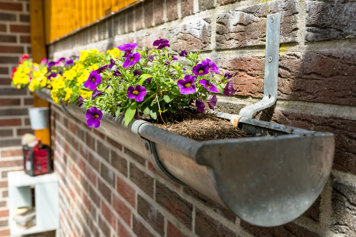 Potted Plants Against Wall In Rain Gutter