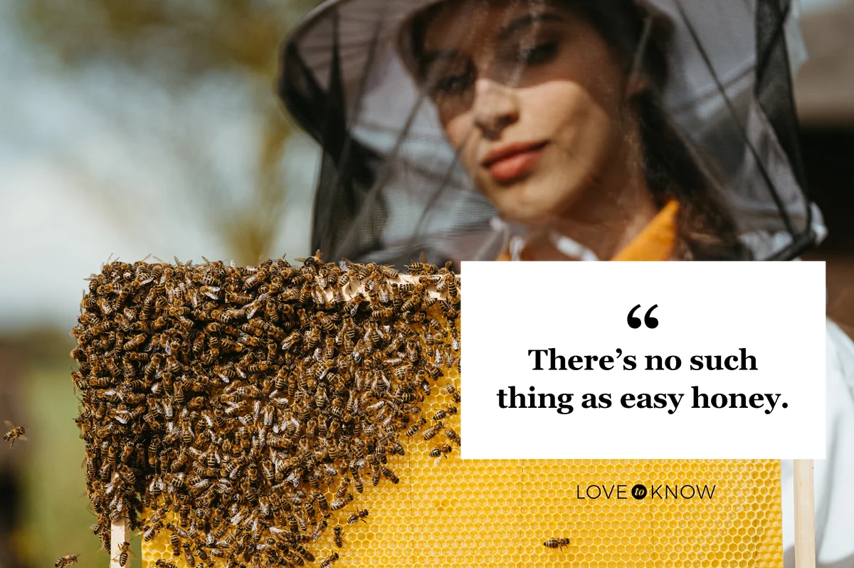 Honeycomb full of fresh honey with lots of honey