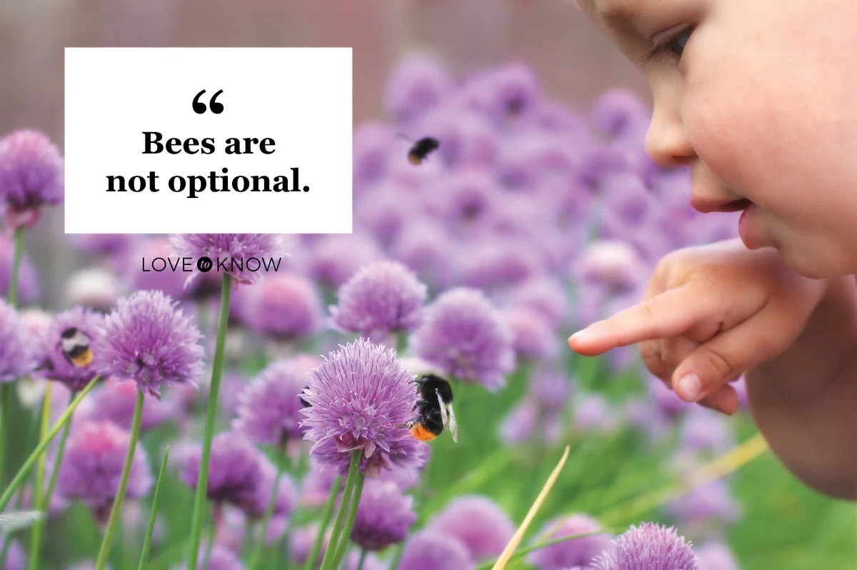Little child points a finger at a bumblebee on a flower