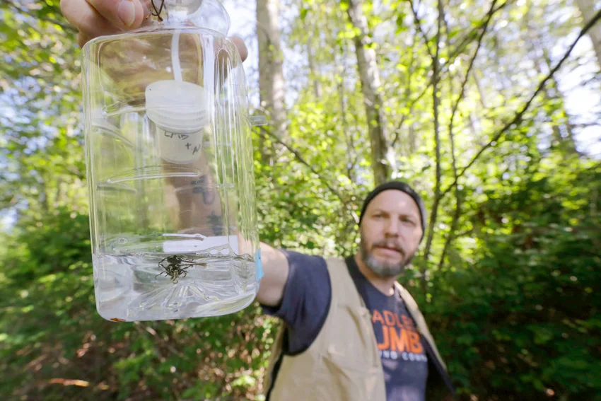 Man with a wasp trap made from a bottle